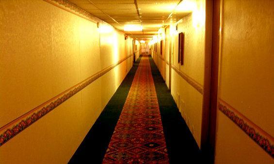 Executive Inn - Ноксвилл Интерьер фото